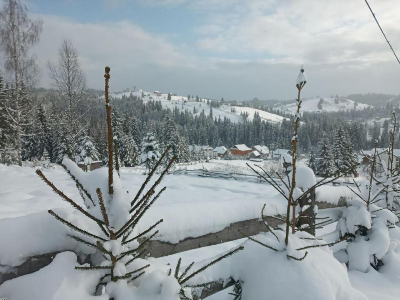 Котеджі Зоряне Небо Bukovel Kültér fotó
