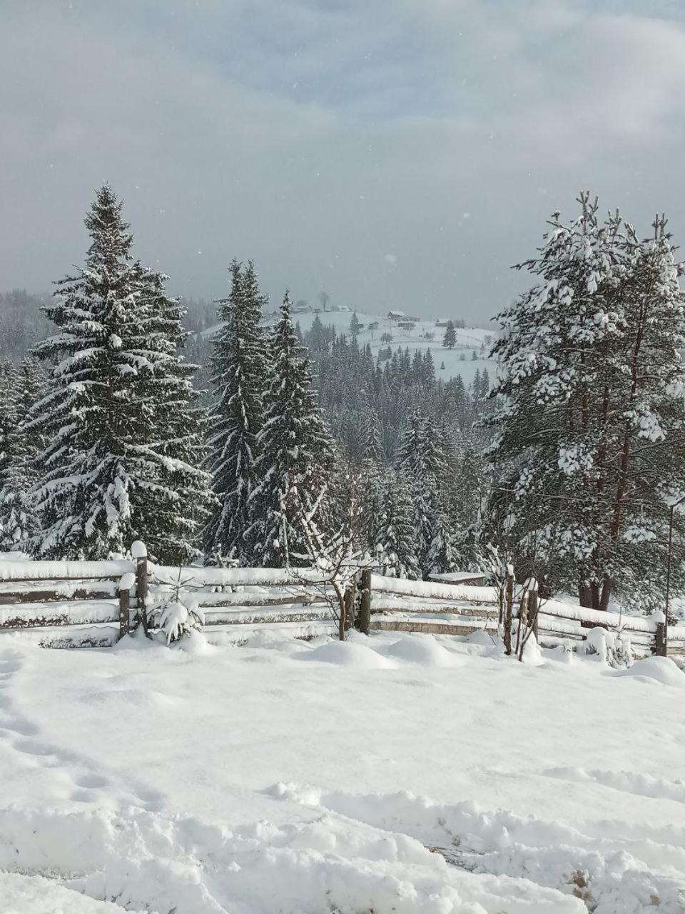 Котеджі Зоряне Небо Bukovel Kültér fotó