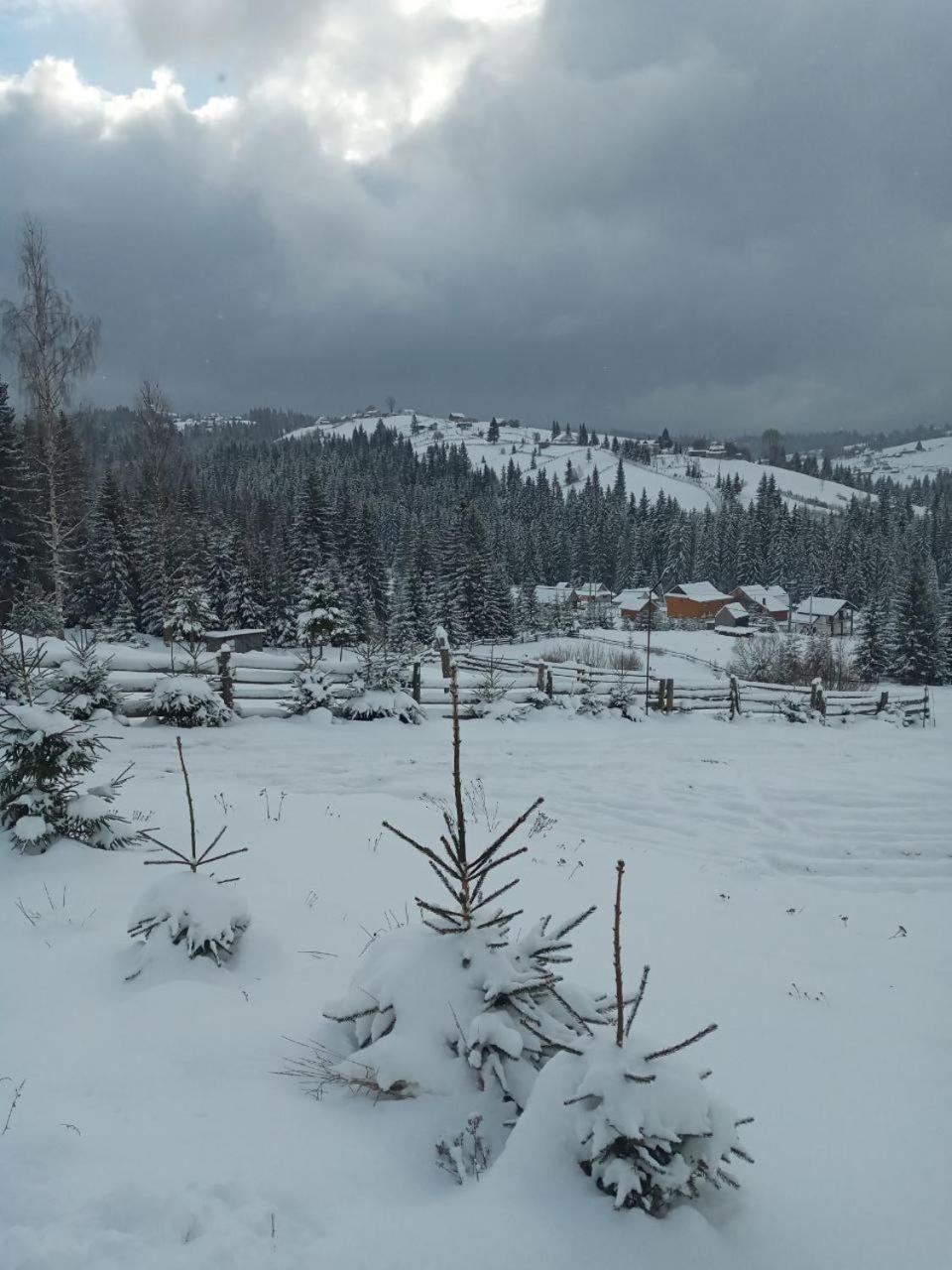 Котеджі Зоряне Небо Bukovel Kültér fotó